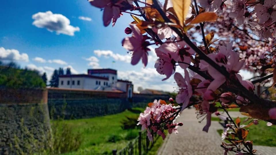 Дубенський замок відкриває двері для відвідувачів 